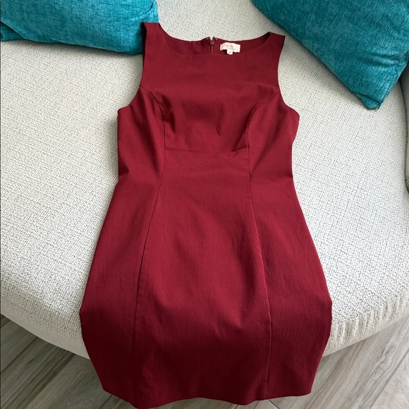 Camila Coelho Rich Red Mini Dress - Picture 6 of 9